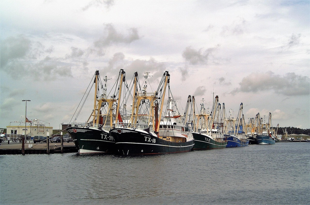 Landelijke intocht Texel
