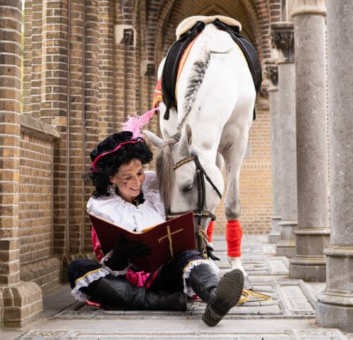 Het grote boek van Sinterklaas