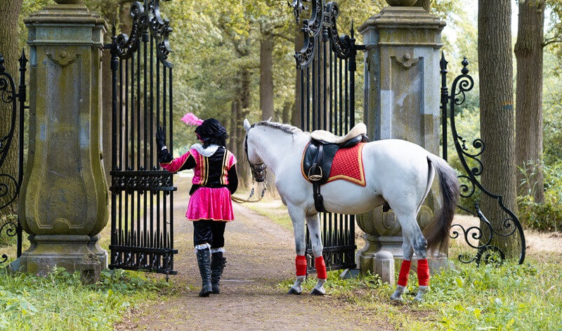 hoe oud kan het paard van sinterklaas worden