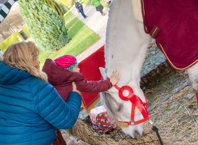 Ozosnel aaien en knuffelen