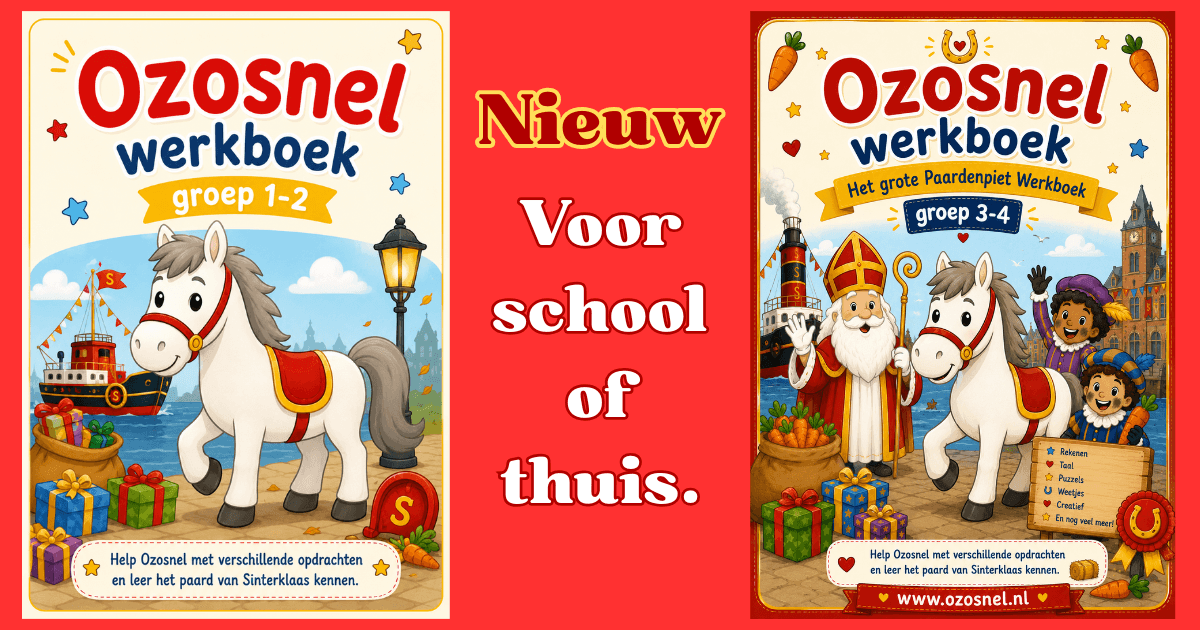 Ozosnel werkboeken voor school of thuis