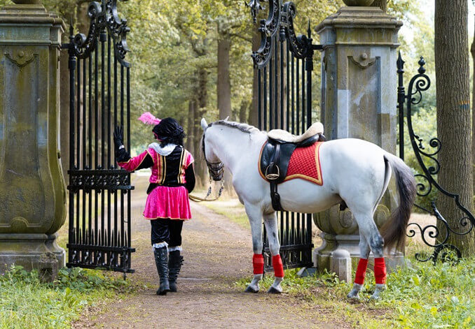 hoe oud kan het paard van sinterklaas worden