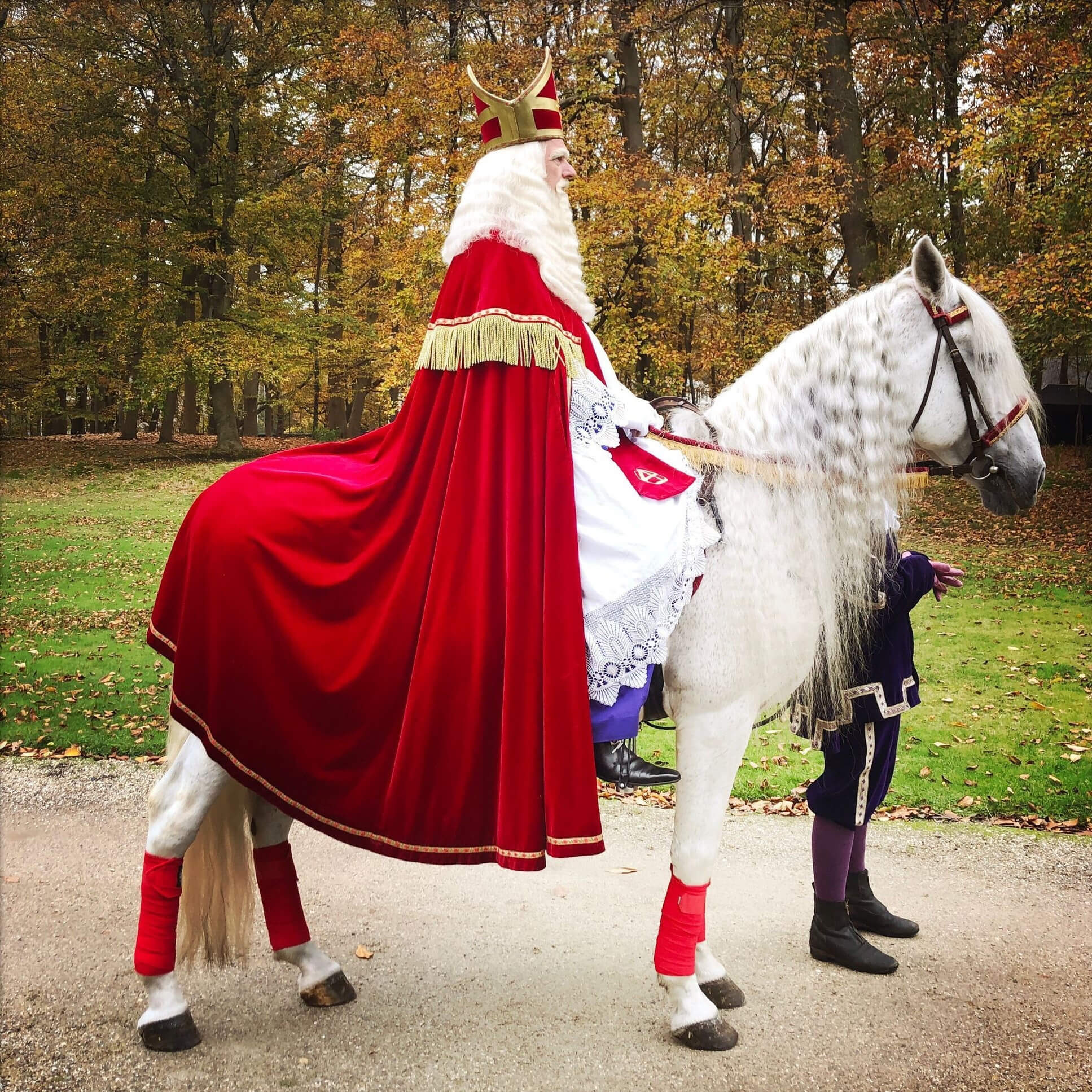 Sinterklaas en zijn paard